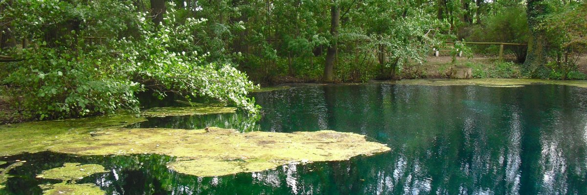 Gründelsloch  Gründelsloch