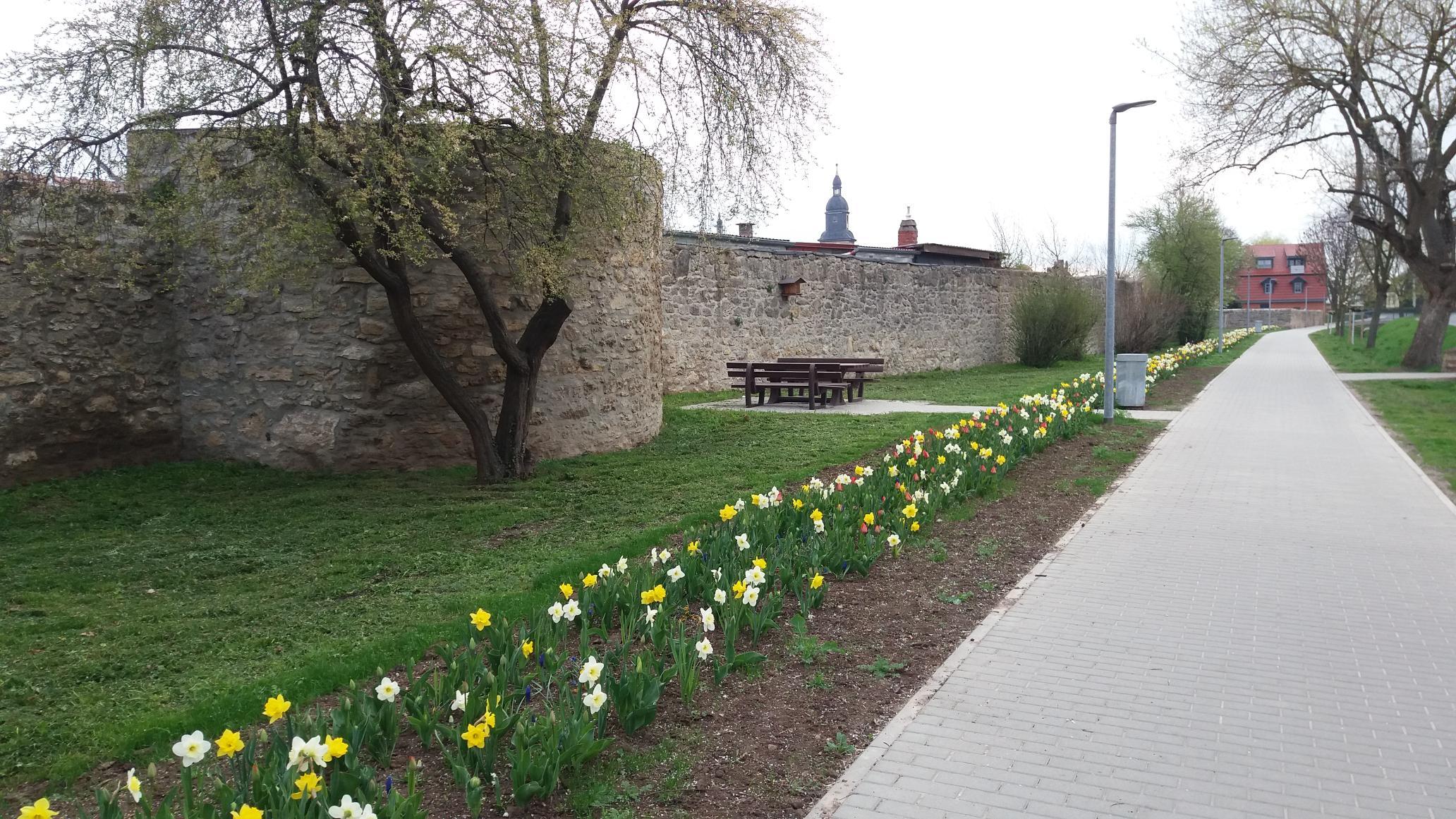 Stadtmauer Kindelbrück